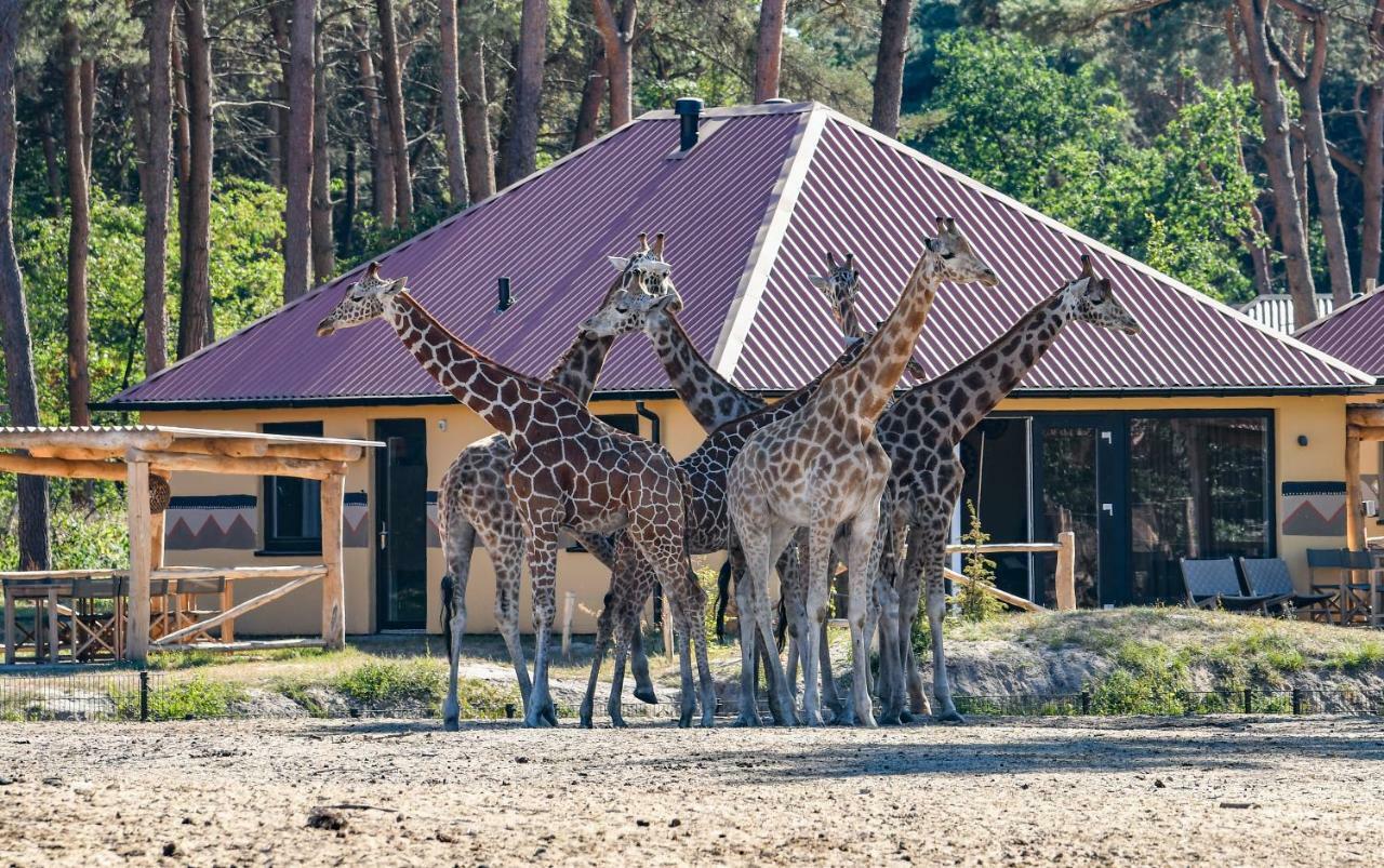 Safari Resort Beekse Bergen Хилваренбек Экстерьер фото